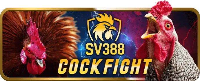 Hỗ trợ trực tuyến 24/7 tại 79win